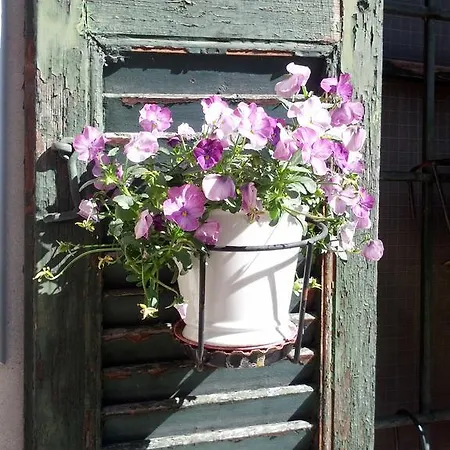 Bed & Breakfast Antica Corte *